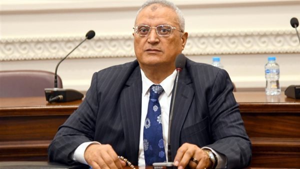 برلماني: مبادرات التحالف الوطني لمحو الأمية تُمكن المواطنين وتدعم التنمية