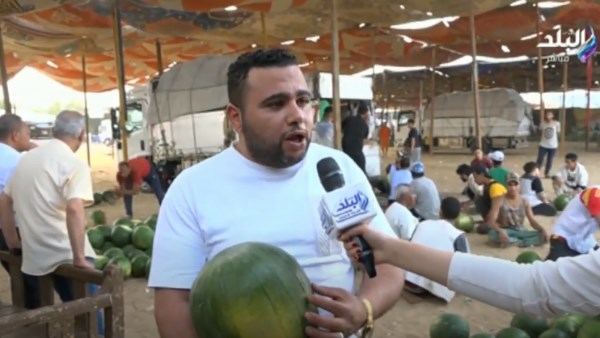 طريقة سهلة وبسيطة لاختيار البطيخة الصح.. فيديو