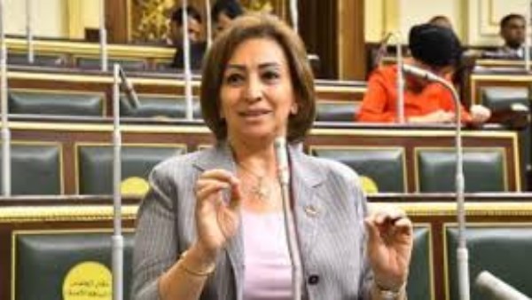 مها عبد الناصر: نحتاج تعديلات جوهرية على قانون انتخابات مجلسي النواب والشيوخ